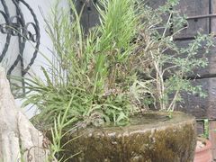 -古韵餐厅(湖畔大学店)
