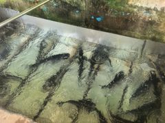 -姥家大锅台水库渔家