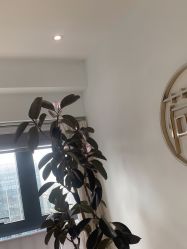 -HEYAN长风荷妍专业脱毛美肤
