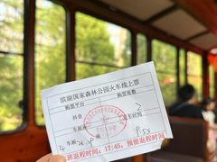 -合肥滨湖国家森林公园