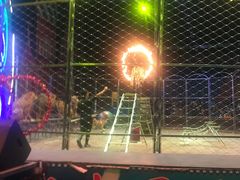 -俄罗斯国家大马戏团