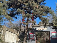-红螺寺