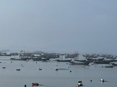-春妮海味饭店·海景餐厅·海菜包子·大连海鲜