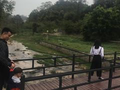 -红山村