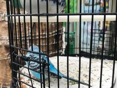 -丽江庭院之丽江往事(安定门店)