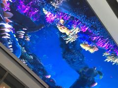 店内环境-爱雍·乌节