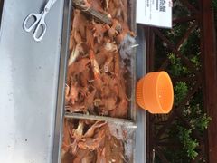 -渔家火锅·海鲜自助餐·演艺(亚龙湾天域酒店)