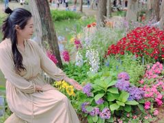 -人民公园(罗湖区)