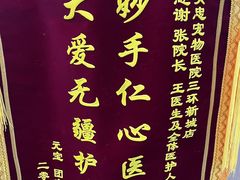 -瑞派·关忠动物医院·猫专科·犬专科(三环新城店)