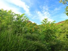 -蟠龙山长城景区