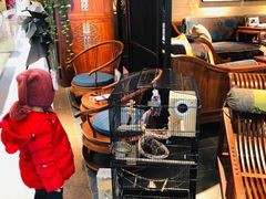 -居然之家(浑南店)