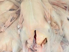 -海窝子古镇