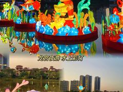 -美的鹭湖森林度假区