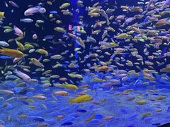 -成都浩海立方海洋公园