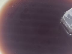 -三好食堂(煎饺·馄饨·肉饼米线·盛世广场店)