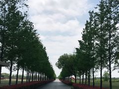 -嘉北郊野公园