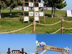 -巧克力渔家.小船海鲜胶东菜(万平口店)