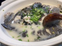 -老傅家湘潭水煮活鱼店(众一国际店)