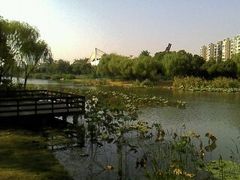 -新江湾城公园