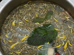 -密友回转自助火锅(世茂国际广场店)