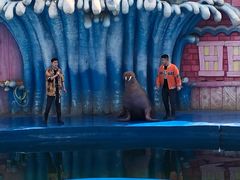 -华夏文旅海洋公园