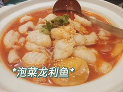 -付掌柜在成都·热炒砂锅集(金禾店)