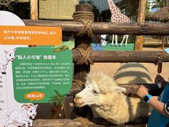 -福州罗源湾海洋世界旅游区