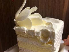 -BLACKSWAN黑天鹅(环球店)