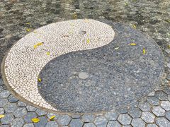 -桃花堤公园