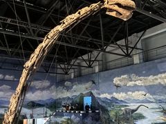 -自贡恐龙博物馆