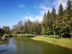 -黄海国家森林公园