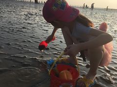 -南汇新城海滩