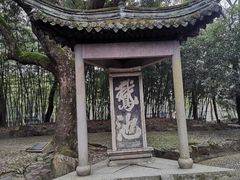 -兰亭风景区