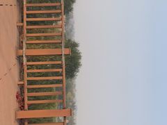 -河北省园博园