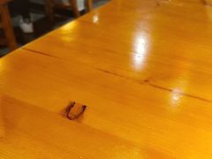 -陈家婆的菜(梅溪湖店)