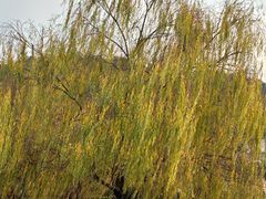 -明月山天沐温泉度假村