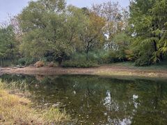 -贡湖湾湿地公园