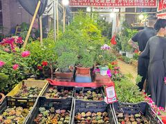 -中环花鸟鱼虫市场