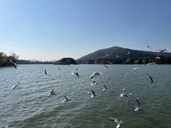 -长广溪湿地公园