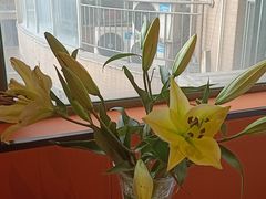 -怡心阁·水疗SPA(天府广场店)