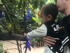 -呀路古热带植物园