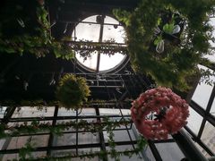 -聚缘·湘味音乐餐厅party(罗湖店)