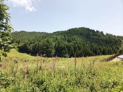 -驼梁风景区