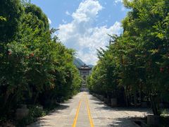 -西安关中民俗艺术博物院