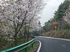 -天姥山景区
