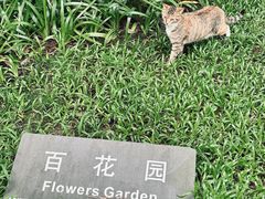-广州珠江公园