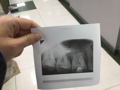 -上海市杨浦区牙病防治所