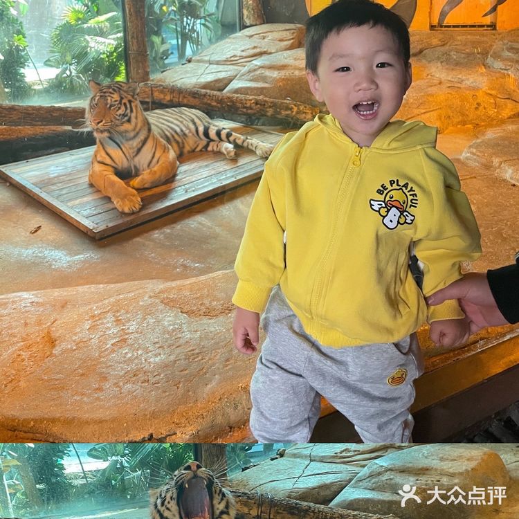 秋日遛娃海洋馆一日游