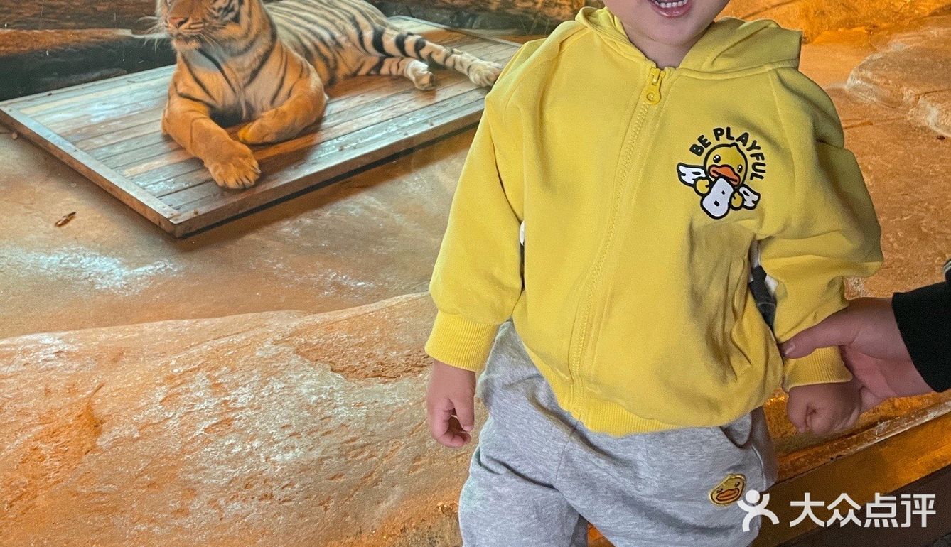 秋日遛娃海洋馆一日游