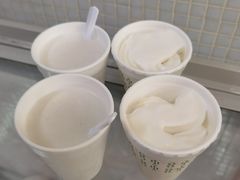 椰子雪糕-洪馨椰子